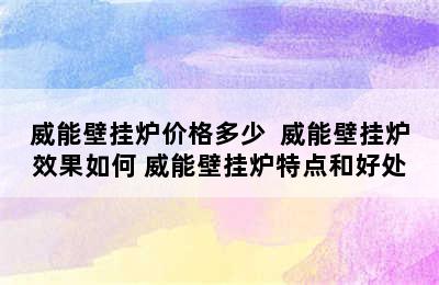 威能壁挂炉价格多少  威能壁挂炉效果如何 威能壁挂炉特点和好处